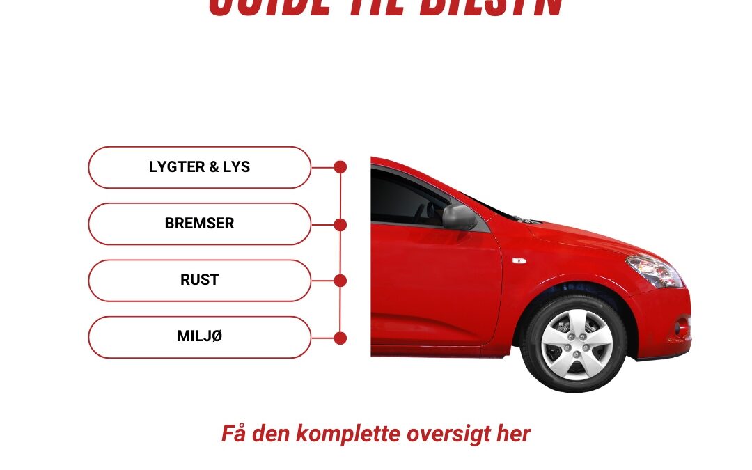 Guide til Bilsyn